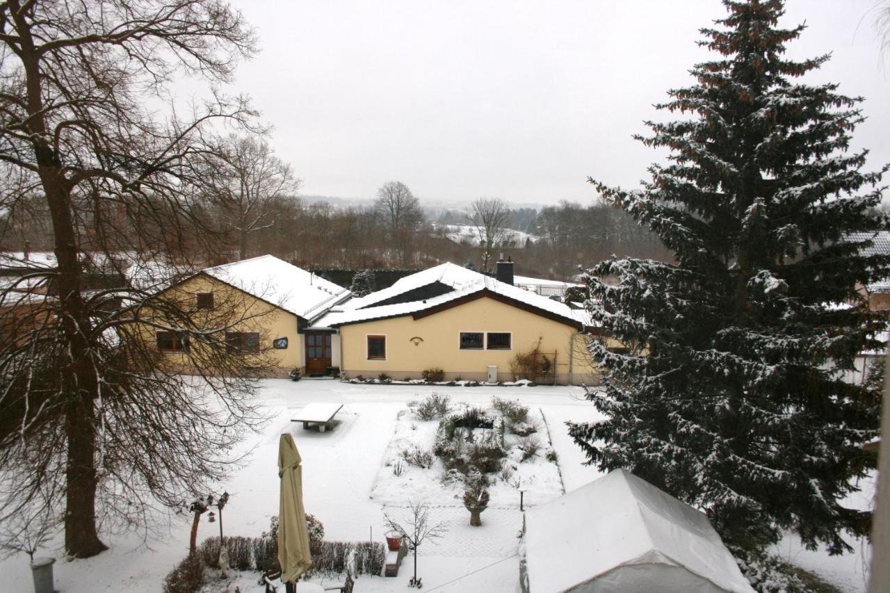 Villa Goeltzschtalblick Netzschkau Exteriör bild